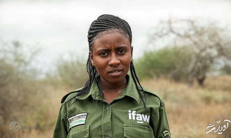 تصاویر/زنان محیط‌بانی که جان خود را برای حیات‌وحش به خطر می‌اندازند